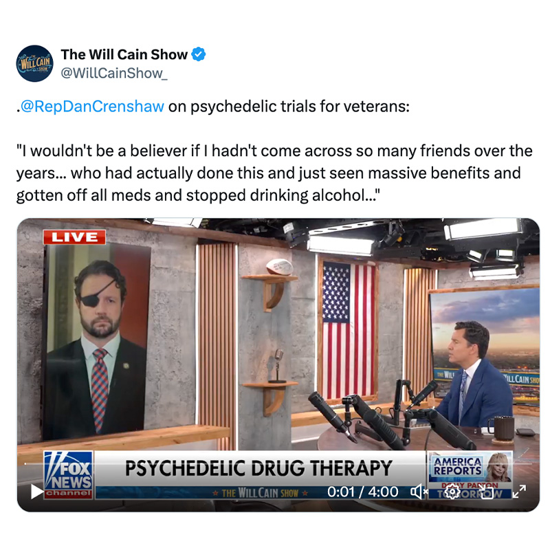 How Psychedelic Drug Therapy Can Save Lives